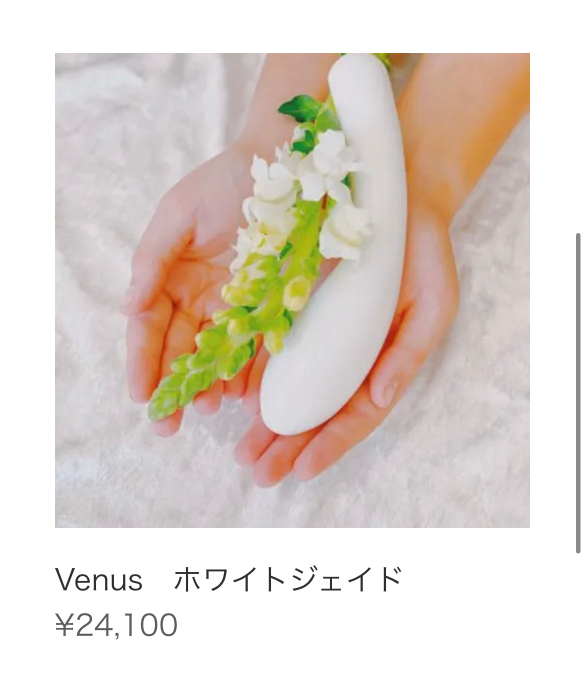 【Venus】 ホワイトジェイド