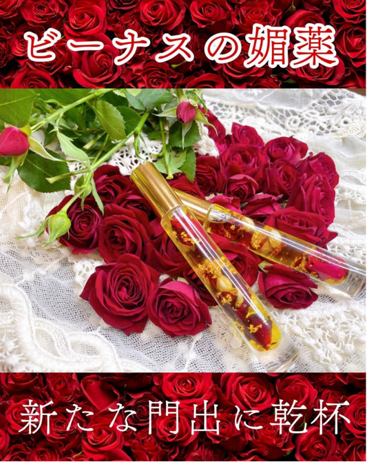 【２本セット購入】ビーナス